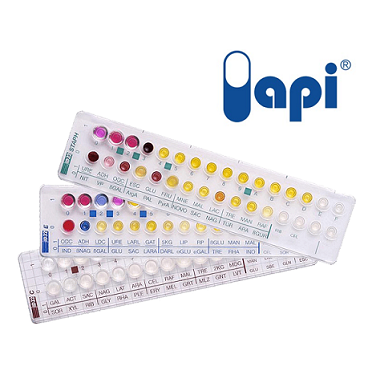 API Kit
