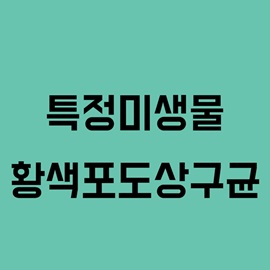 황색포도상구균(특정미생물)
